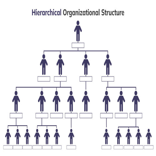 9 Organizational Structure Types for Small Businesses to Consider